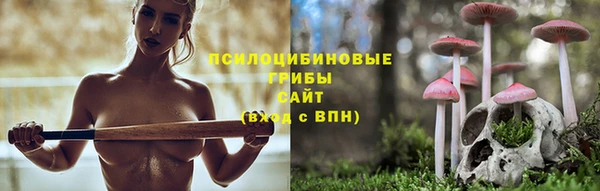 соль курить ск Липки